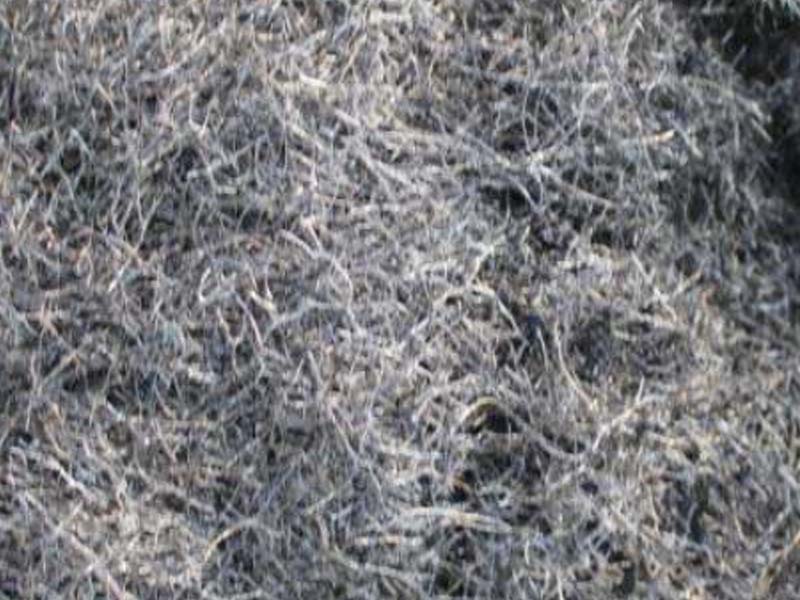 अर्ज 1